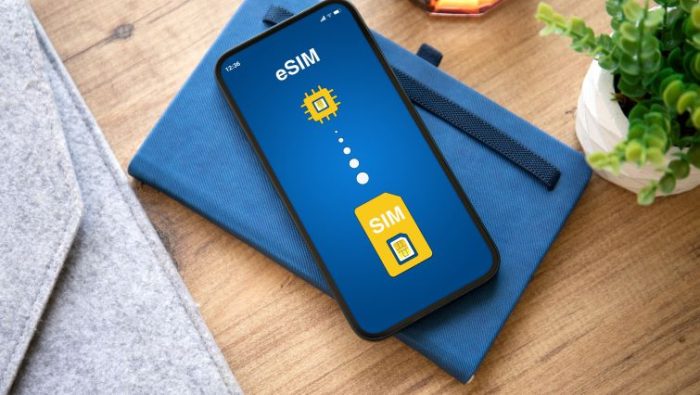 5 Benefits of eSIM for Digital Nomads and Remote Professionals