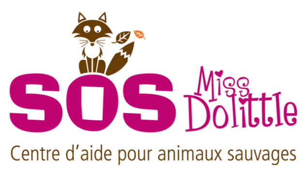 SOS Miss Dolittle, Centre d'aide pour animaux sauvages