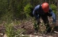 Environnement de travailGroupement Forestier Métis-Neigette inc.3