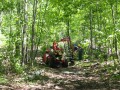 Environnement de travailSyndicat des producteurs forestiers du Bas-Saint-Laurent2