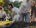 Environnement de travailÉcole Montessori de Québec1